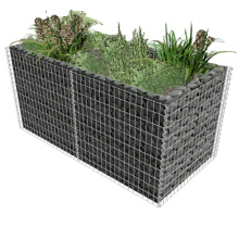 Garden Border Wall Gabion Baskets Gardening Flower Focal Point Mesh Landscape